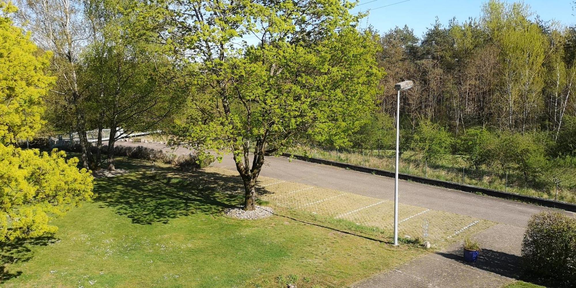 Niederwald Apartment Iffezheim Exterior photo